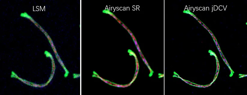 1639644543624033.jpg 640.webp (2).jpg